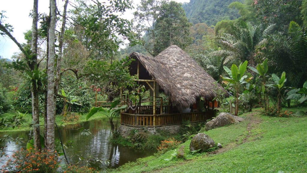 el abrazo del arbol farm | Ecuador | Eco-lodge | Lifenomading | Adventure Travel